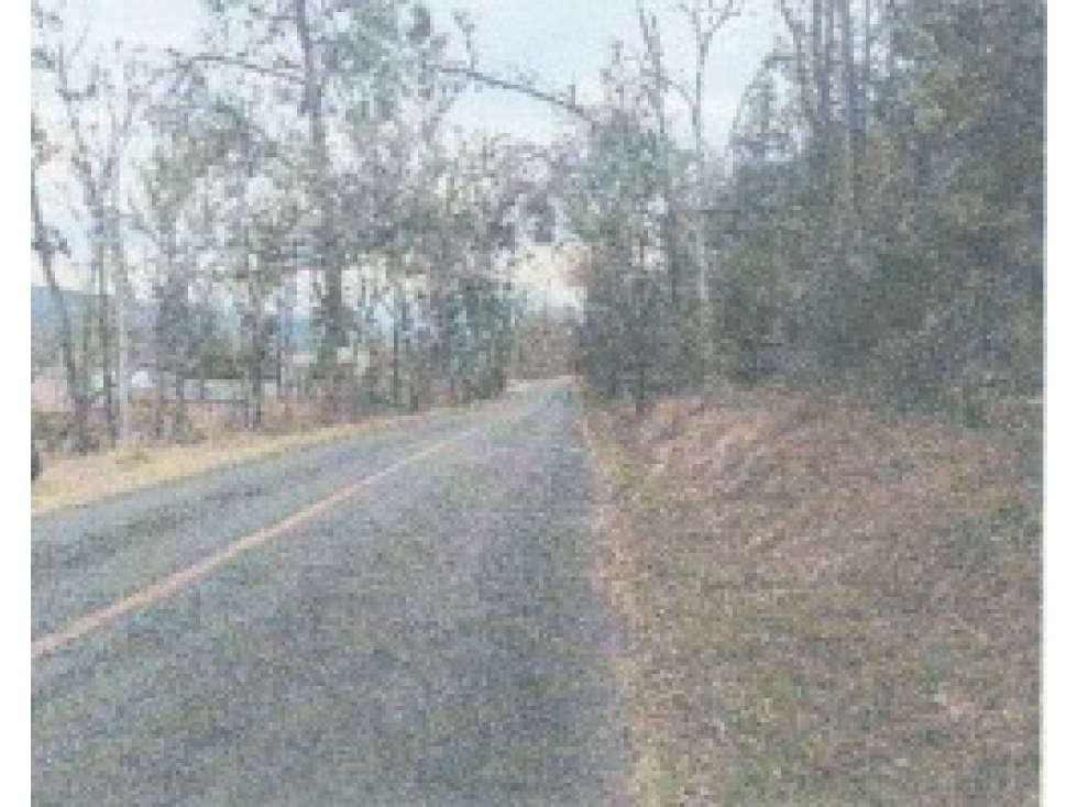 SE VENDE TERRENO TENECIA MORELOS SOBRE CARRETERA LA PRESA MORELIA — foto 5