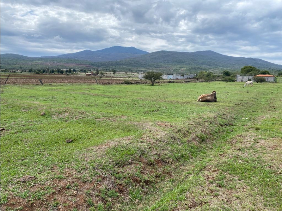 SE VENDEN TERRENOS EN LA ESTANCIA MICHOACAN A 15 MIN DE MORELIA — foto 3