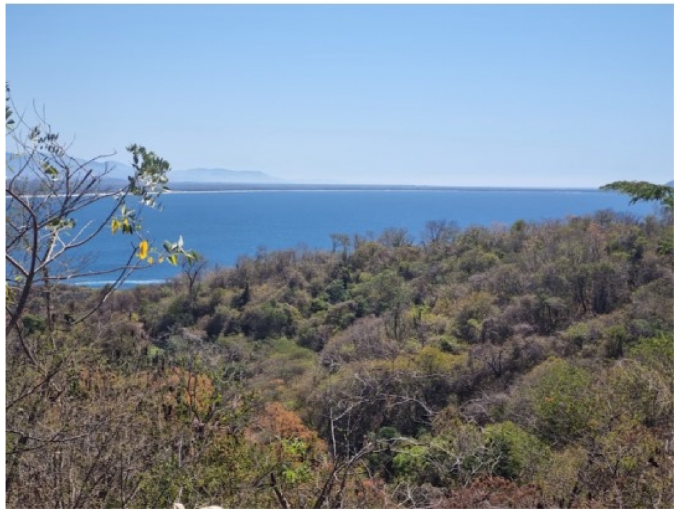 SE VENDE TERRENO RESIDENCIAL LA ROPA PALMAS III ZIHUTANEJO GUERRERO - 3