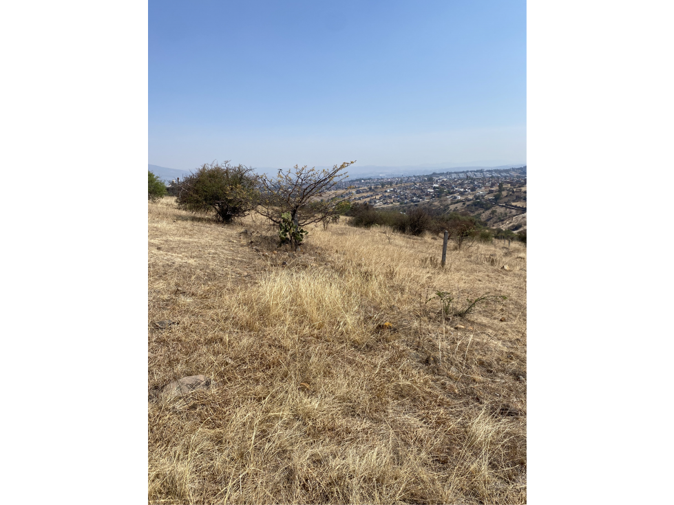 SE VENDE TERRENO POR AV LA JOYA MORELIA CERCA AV AMALIA SOLORZANO — foto 2