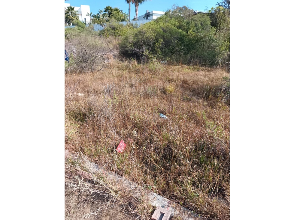 Terreno en venta en Santa Maria, cerca de Altozano 250 m2 $1,750,000 - 6