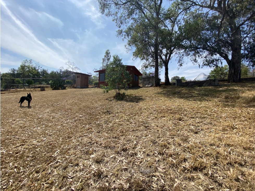 SE RENTA TERRENO EN LA FALDA DEL CERRO DE SANTA MARIA SOBRE LA PALOMA - 4