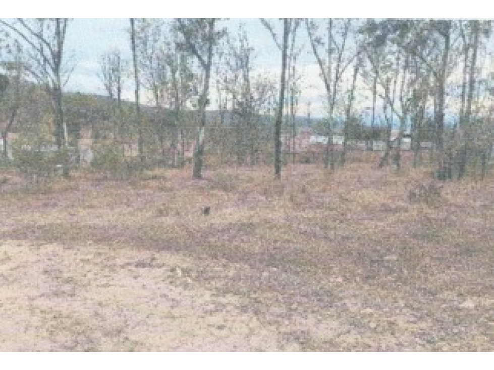 SE VENDE TERRENO TENECIA MORELOS SOBRE CARRETERA LA PRESA MORELIA — foto 4