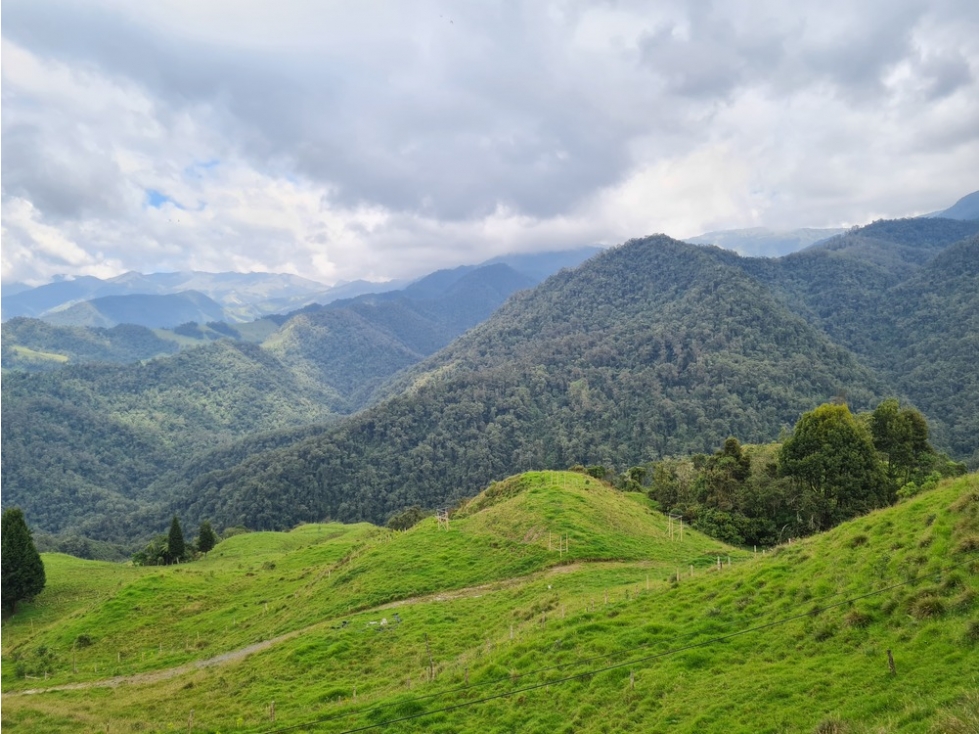 Venta finca para turismo o vivienda en reserva Río Blanco, Manizales