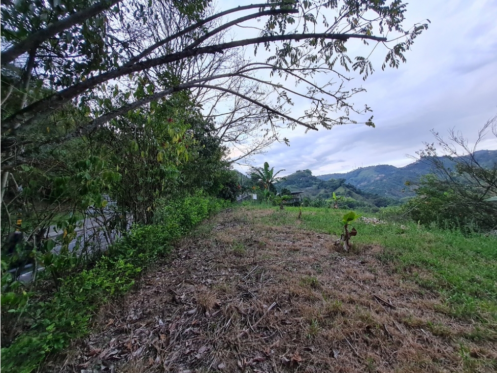 Venta lote campestre independiente en la trinidad, Manizales