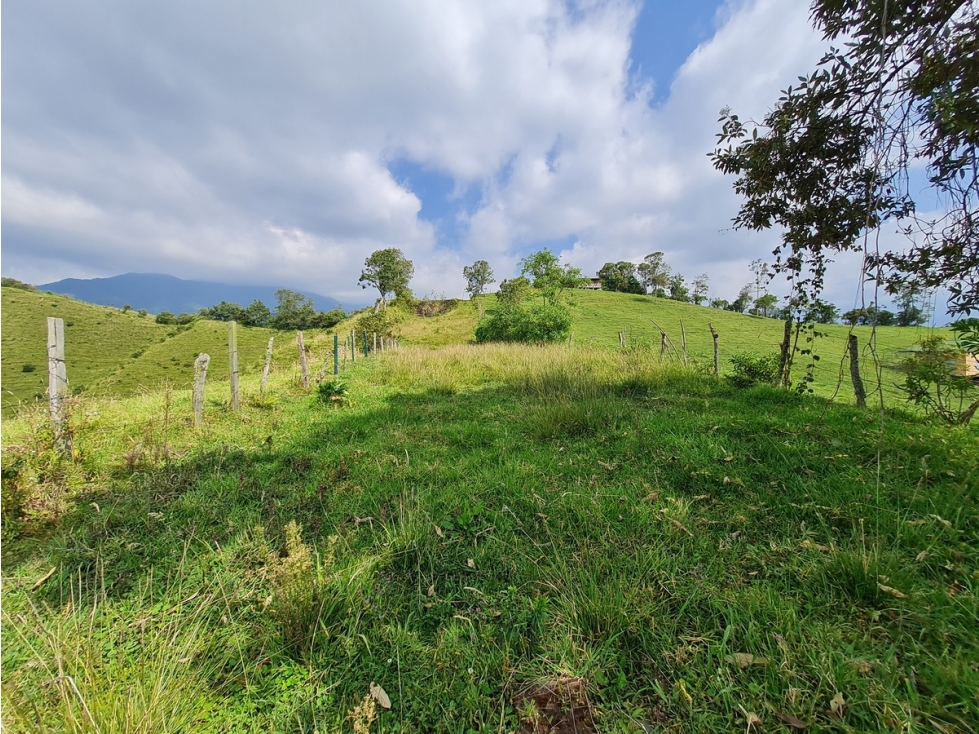 Venta único lote vivienda unifamiliar vereda buena vista, Manizales - 3