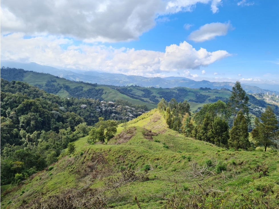 Venta 3 fincas para turismo o vivienda reserva Río Blanco, Manizales — foto 2