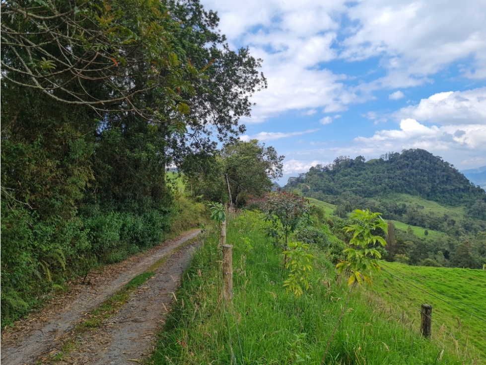 Venta finca para turismo o vivienda en reserva Río Blanco, Manizales — foto 3