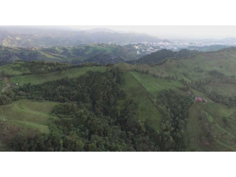 Venta finca para turismo o vivienda en reserva Río Blanco, Manizales — foto 3