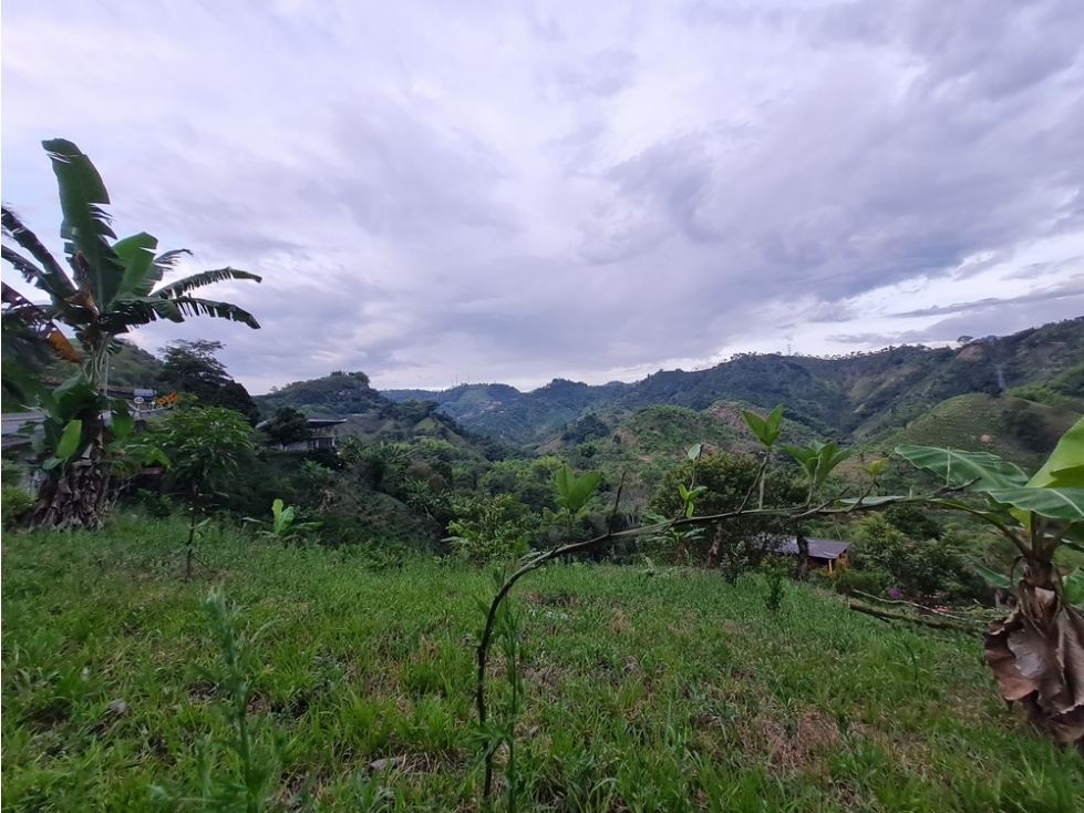 Venta lote campestre independiente en la trinidad, Manizales — foto 5