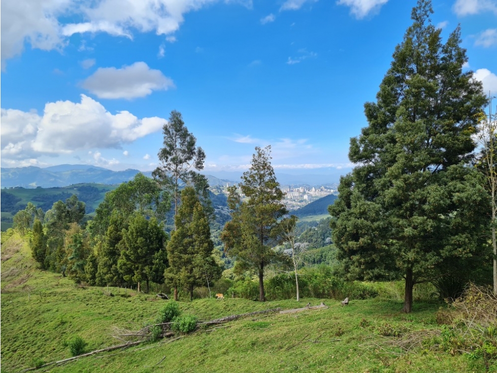 Venta 3 fincas para turismo o vivienda reserva Río Blanco, Manizales
