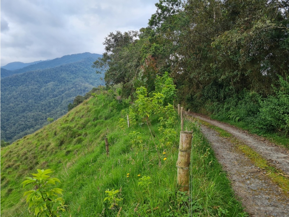 Venta finca para turismo o vivienda en reserva Río Blanco, Manizales — foto 4