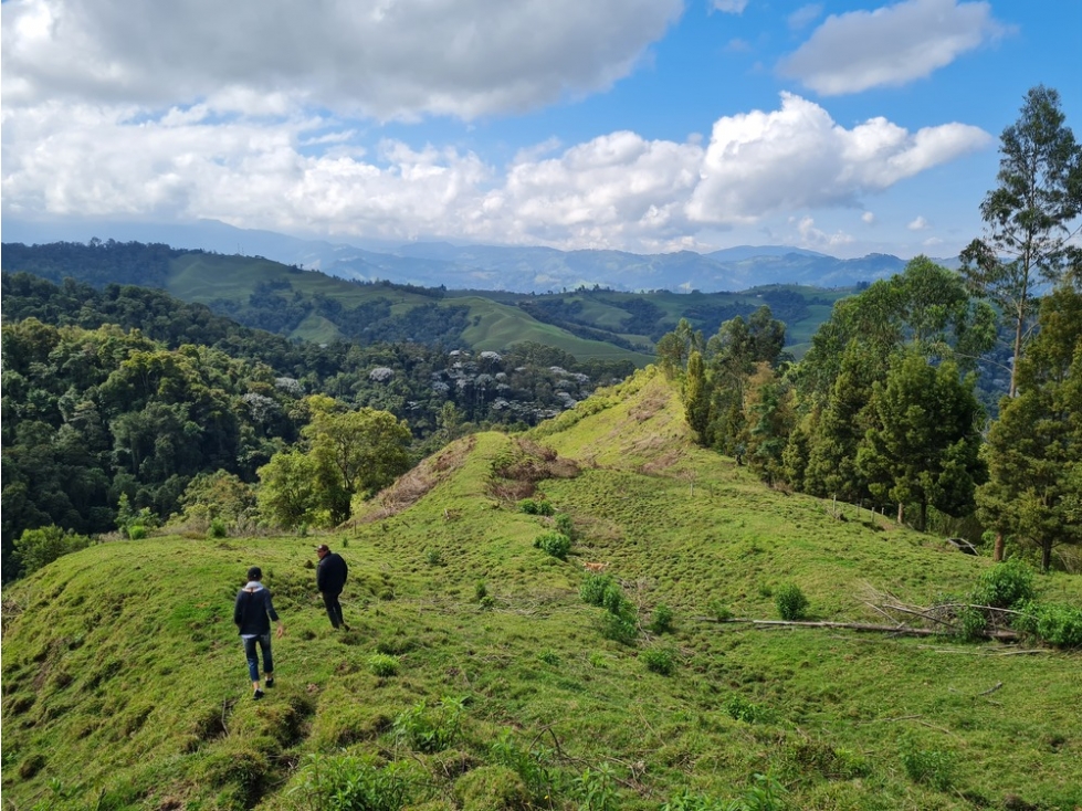 Venta 3 fincas para turismo o vivienda reserva Río Blanco, Manizales — foto 3