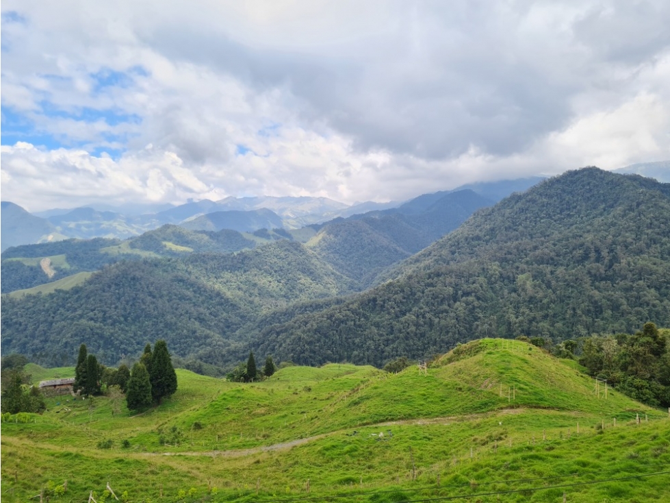 Venta finca para turismo o vivienda en reserva Río Blanco, Manizales — foto 5