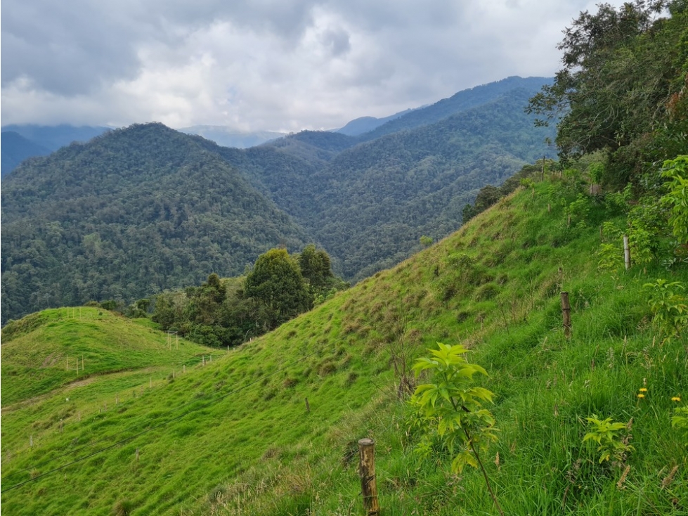 Venta finca para turismo o vivienda en reserva Río Blanco, Manizales — foto 6