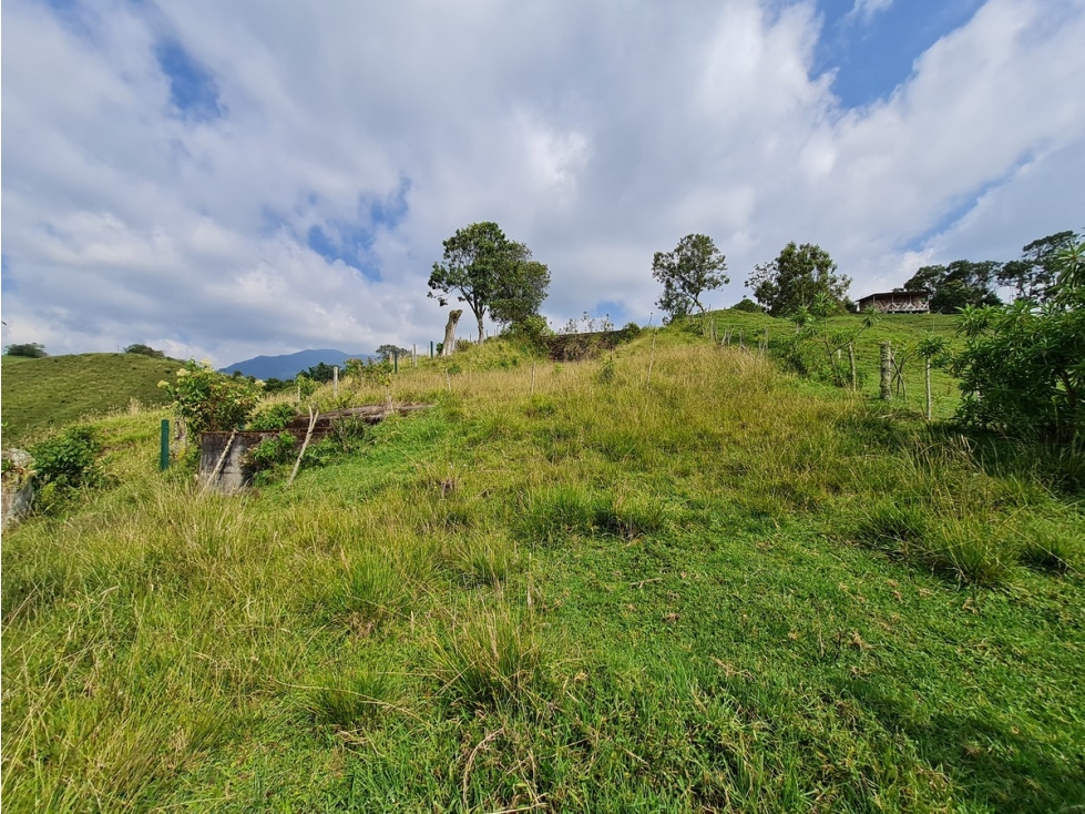Venta único lote vivienda unifamiliar vereda buena vista, Manizales - 4