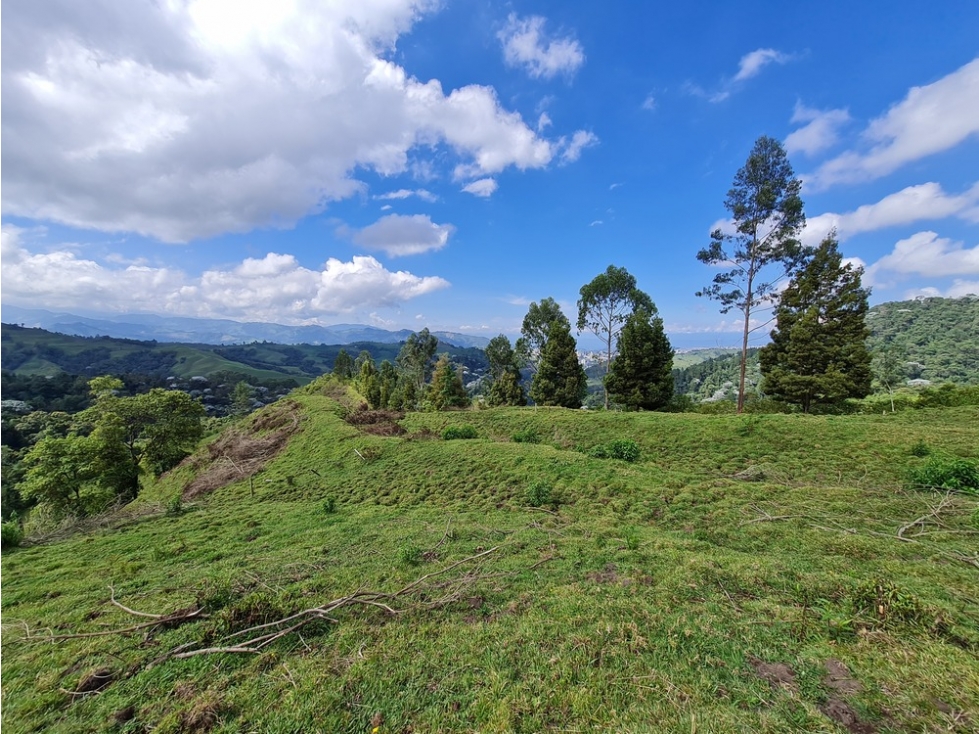 Venta 3 fincas para turismo o vivienda reserva Río Blanco, Manizales — foto 4