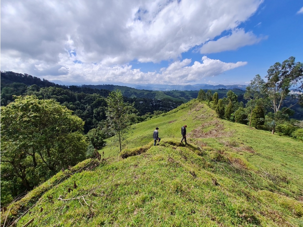 Venta 3 fincas para turismo o vivienda reserva Río Blanco, Manizales — foto 5