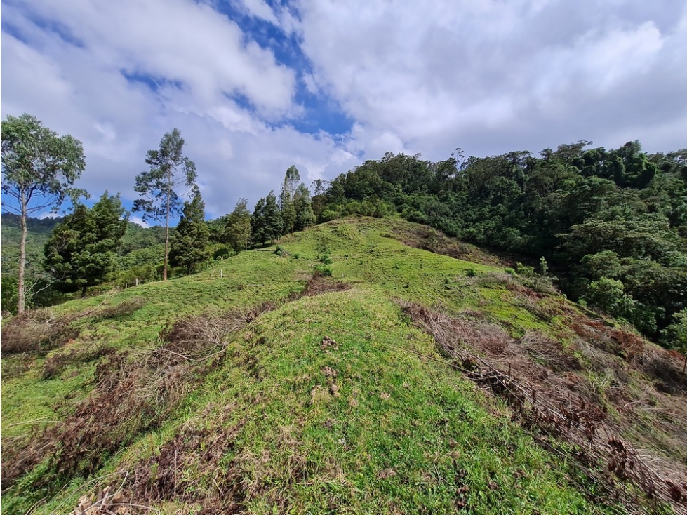 Venta 3 fincas para turismo o vivienda reserva Río Blanco, Manizales — foto 6