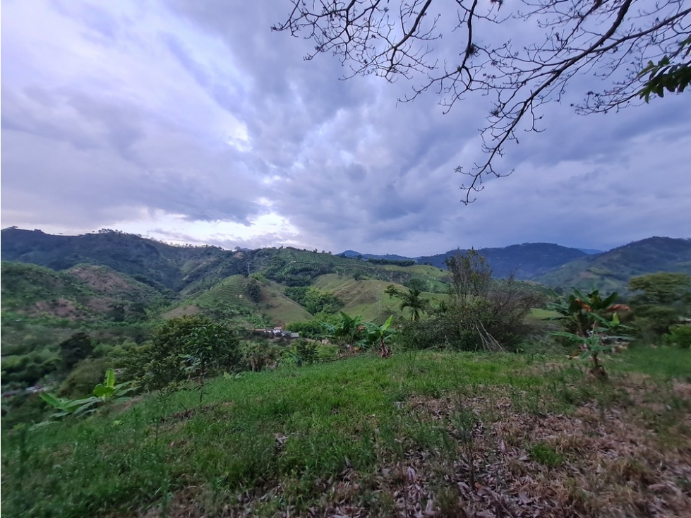 Venta lote campestre independiente en la trinidad, Manizales — foto 3