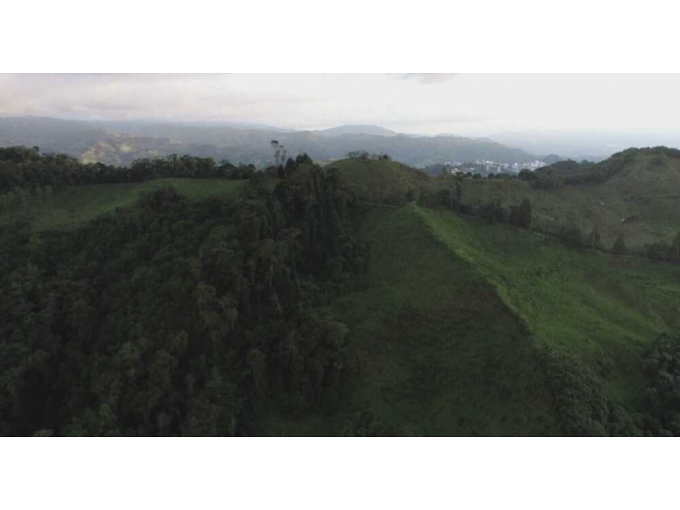 Venta finca para turismo o vivienda en reserva Río Blanco, Manizales — foto 5