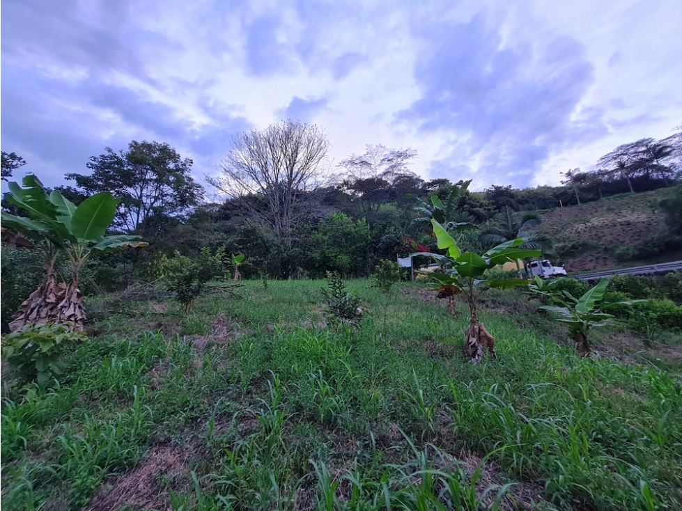Venta lote campestre independiente en la trinidad, Manizales — foto 4