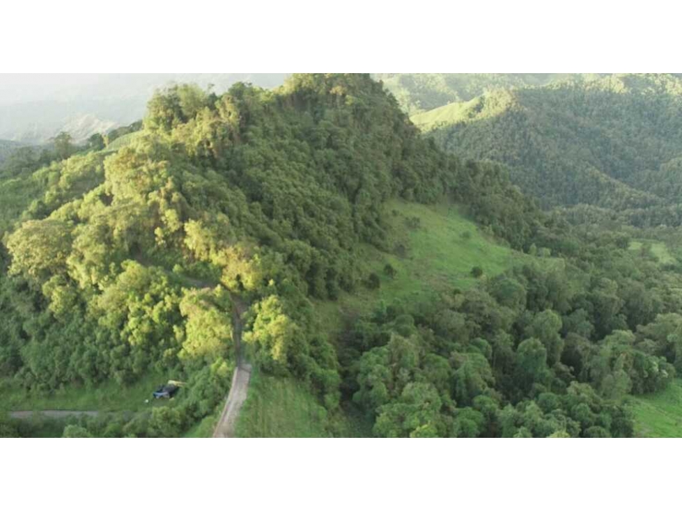 Venta finca para turismo o vivienda en reserva Río Blanco, Manizales — foto 6