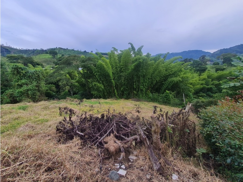Venta lote en conjunto en El Rosario, Manizales — foto 4