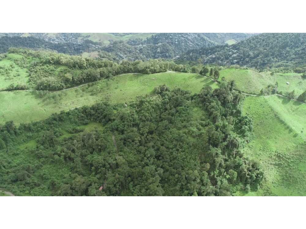 Venta finca para turismo o vivienda en reserva Río Blanco, Manizales — foto 4