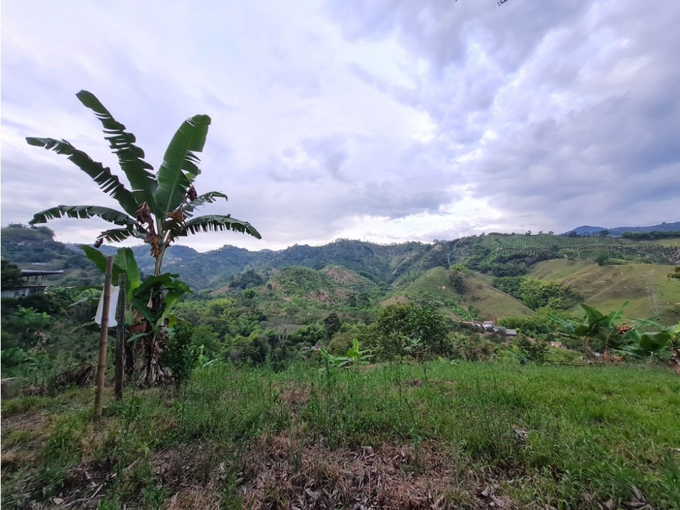 Venta lote campestre independiente en la trinidad, Manizales — foto 6