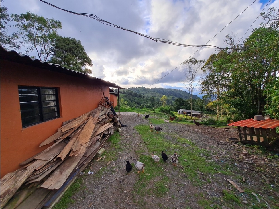 Venta finca para turismo o vivienda en reserva Río Blanco, Manizales — foto 2