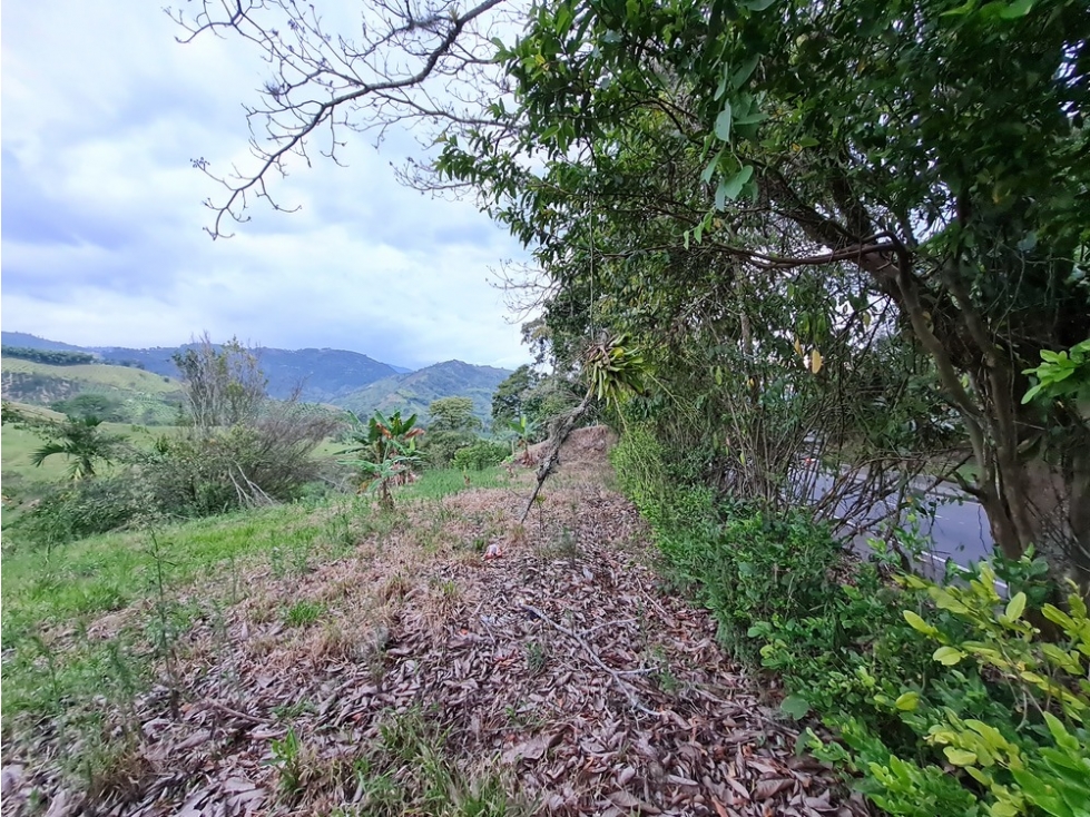 Venta lote campestre independiente en la trinidad, Manizales — foto 2