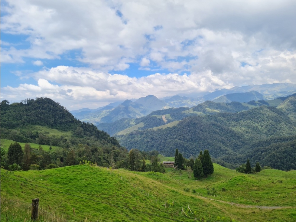 Venta finca para turismo o vivienda en reserva Río Blanco, Manizales — foto 2