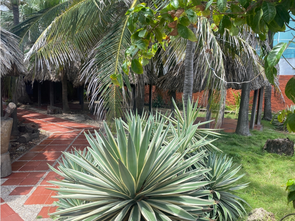 Cartagena Local en Arriendo Bocagrande — foto 3