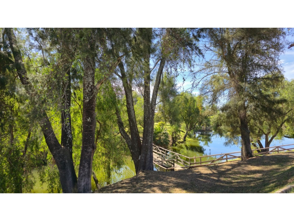 TERRENO 20 EN VENTA LAGO HABITAT ZAPOPAN - 2
