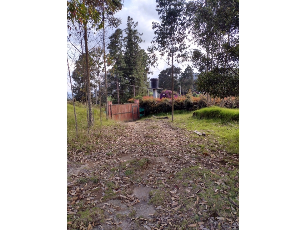 LOTE LA CEJA CERCA UdeA CARMEN DE VIBORAL