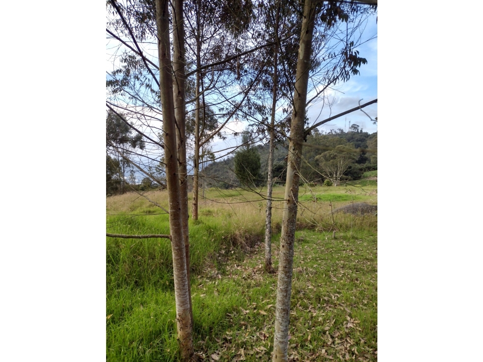 LOTE LA CEJA CERCA UdeA CARMEN DE VIBORAL — foto 2