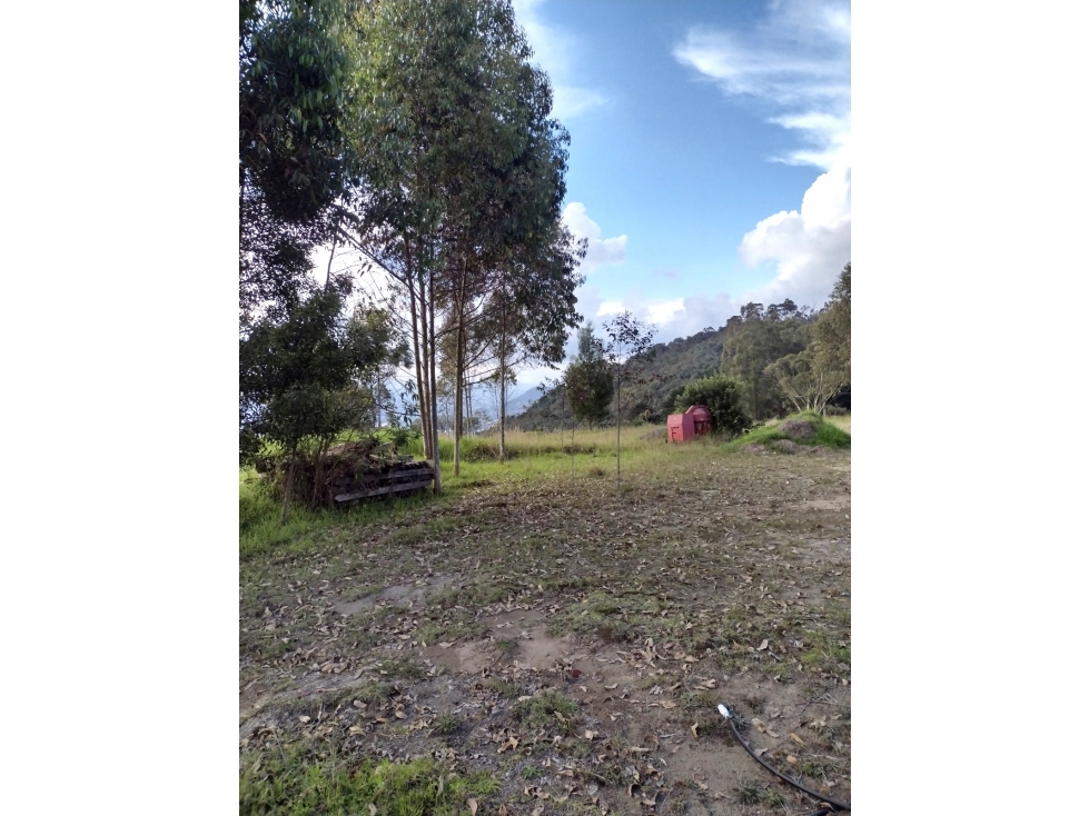 LOTE LA CEJA CERCA UdeA CARMEN DE VIBORAL — foto 3