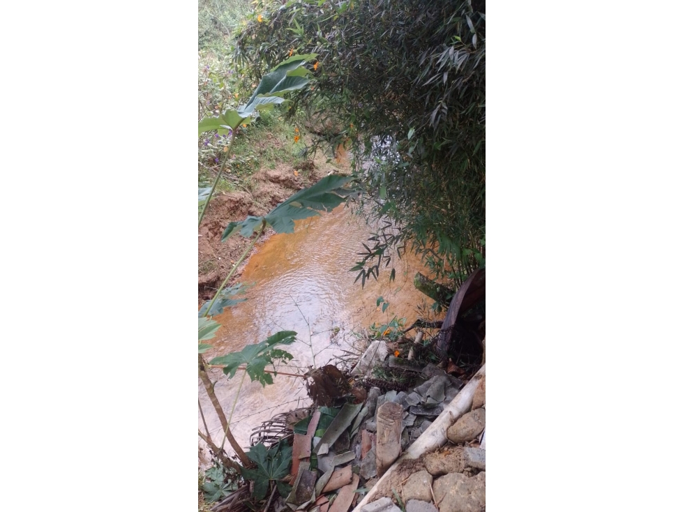 FINCA EN ZONA RURAL SANTUARIO ANT. A 5MIN. AUTOPISTA MED/BOG — foto 4