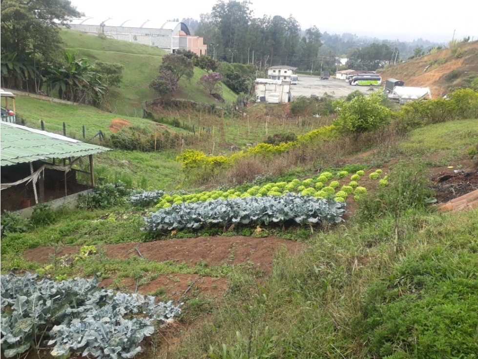 CASA FINCA GUARNE, ANTIOQUIA CERCA AUT. MEDELLÍN-BOGOTÁ — foto 5