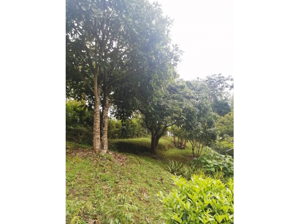 CASA CAMPESTRE MUNICIPIO GUARNE — foto 4