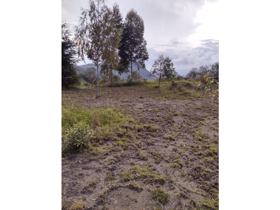 LOTE LA CEJA CERCA UdeA CARMEN DE VIBORAL — foto 6