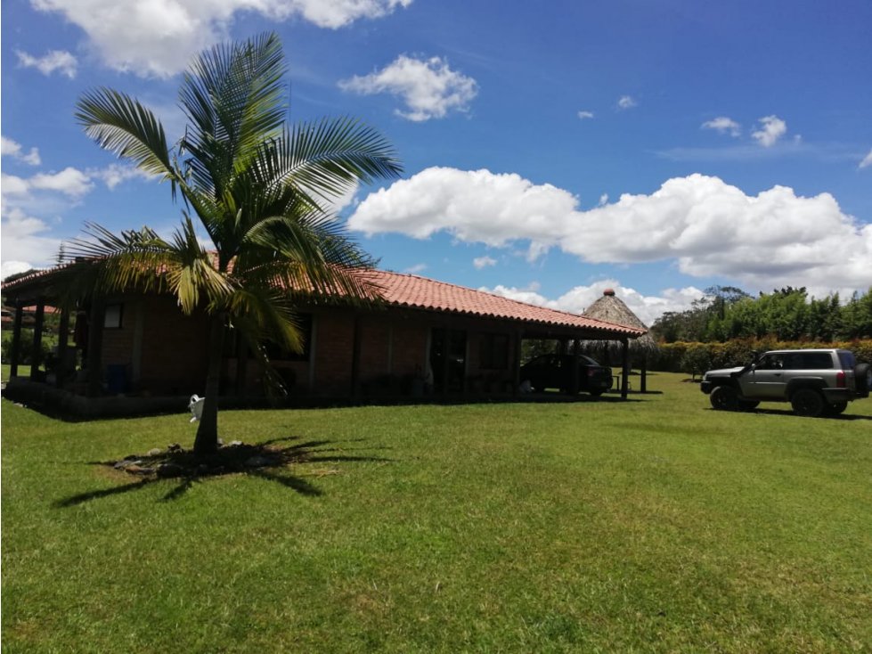 HERMOSA FINCA EN VENTA EN LA VEREDA LAS GARZONAS DEL CARMEN DE VIBORAL — foto 3
