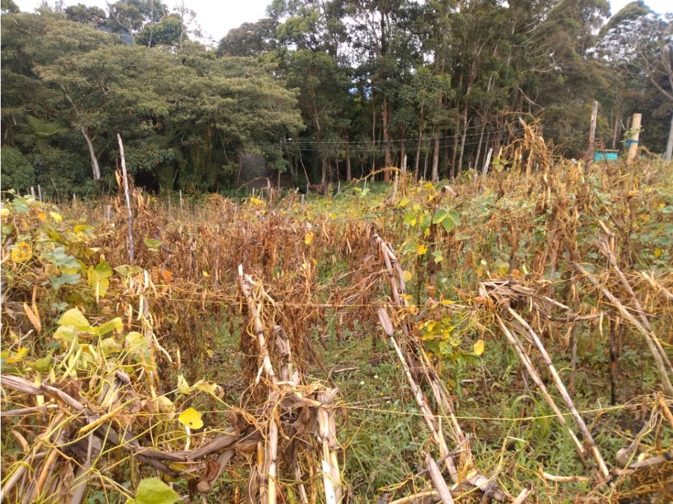LOTE DE OPORTUNIDAD VEREDA AGUAS CLARAS EN VENTA EN EL CARMEN DE VIB. — foto 6