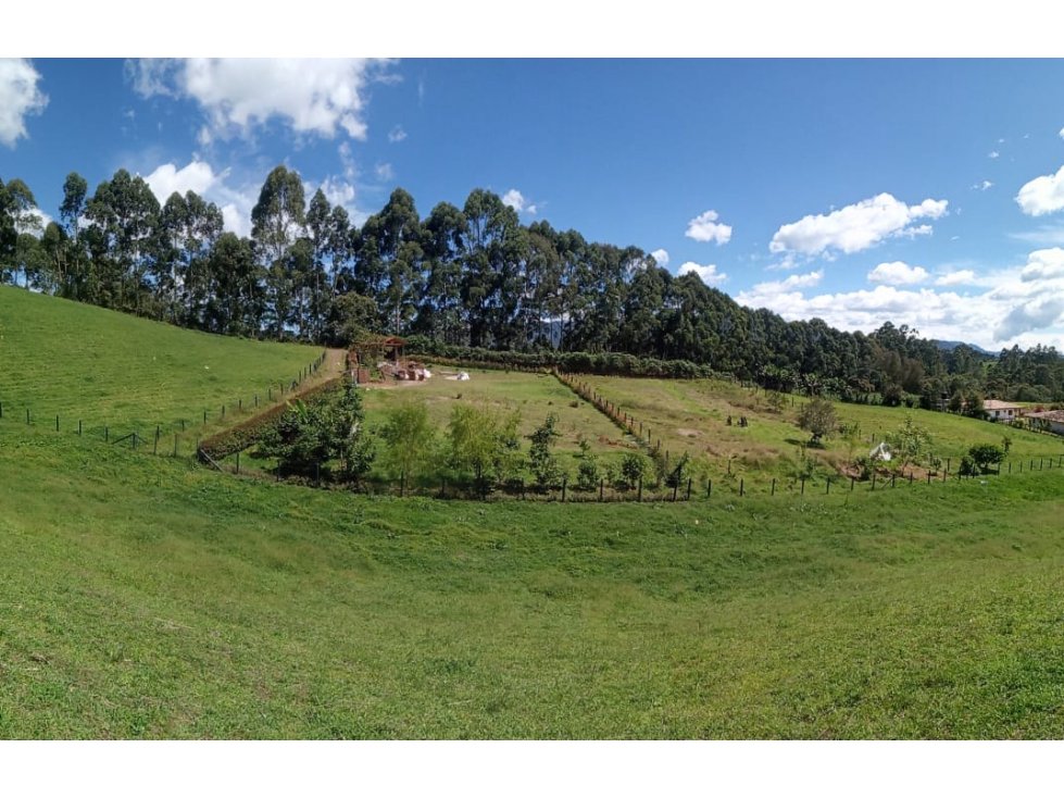 OPORTUNIDAD!!! HERMOSOS LOTES EN VENTA EN EL CARMEN DE VIBORAL — foto 2
