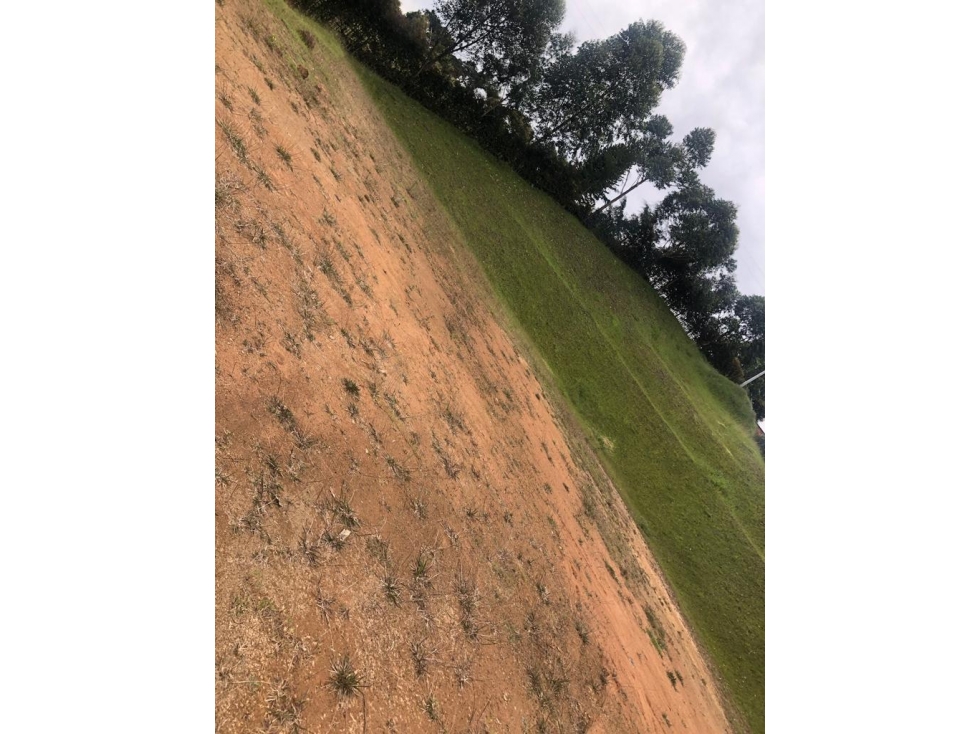 EN VENTA LOTE CON LINDA VISTA EN LA VEREDA SAMARIA - CARMEN VIBORAL — foto 3