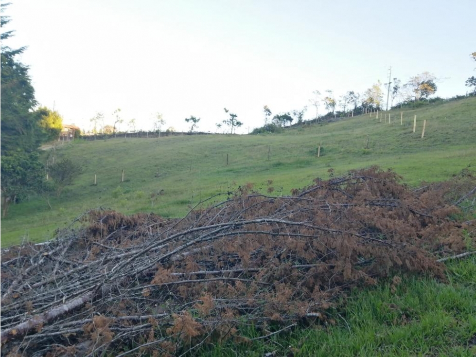 LINDOS LOTES EN VENTA GUARNE — foto 6