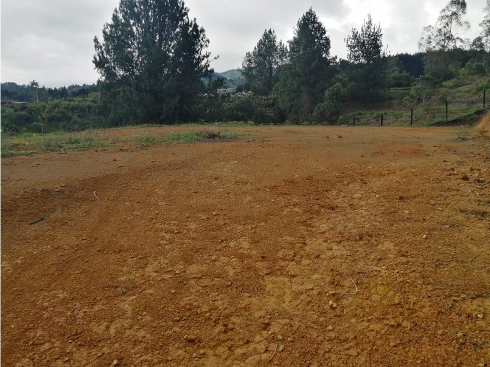 LINDOS LOTES EN VENTA GUARNE