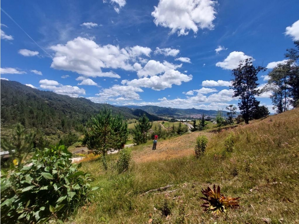 HERMOSOS LOTES EN VENTA EN PARCELACIÓN Y VECINDARIO LA CEJA-ANTIOQUIA
