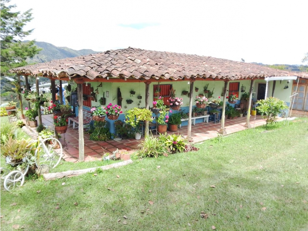 HERMOSA FINCA CAMPESINA EN VENTA SAN VICENTE